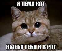 я тёма кот выебу тебя я в рот