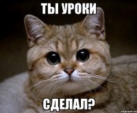 ты уроки сделал?