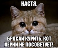 Настя, бросай курить, кот херни не посоветует!