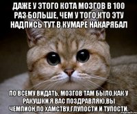 Даже у этого кота мозгов в 100 раз больше, чем у того,кто эту надпись тут в кумаре накарябал По всему видать, мозгов там было,как у ракушки.я вас поздравляю,вы чемпион,по хамству,глупости и тупости.