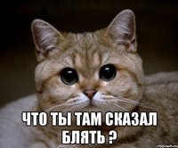  Что ты там сказал блять ?