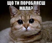 Що ти поробляєш мала? 