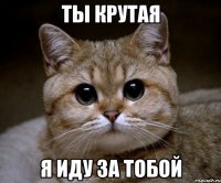 ТЫ КРУТАЯ Я ИДУ ЗА ТОБОЙ