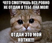 чего смотришь все ровно не отдам я тебе ,она моя! отдай это мой котик!!!