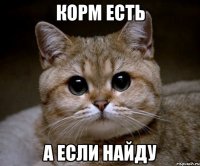 Корм есть А если найду