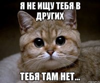 Я не ищу тебя в других тебя там нет...