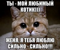 Ты - мой любимый котик))) Женя, я тебя люблю сильно - сильно!!!