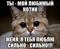 Ты - мой любимый котик Женя, я тебя люблю сильно - сильно!!!