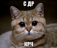 С ДР КРЧ