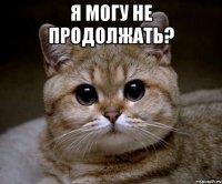 я могу не продолжать? 