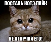 Поставь котэ лайк Не огорчай его!