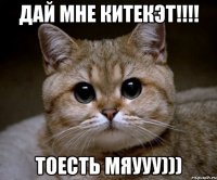 дай мне китекэт!!!! тоесть мяууу)))