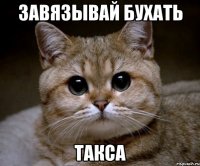 завязывай бухать такса