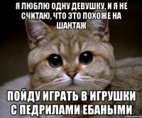 я люблю одну девушку, и я не считаю, что это похоже на шантаж пойду играть в игрушки с педрилами ебаными