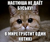 Настюша не даёт буську! В мире грустит один котик)