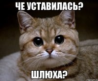 Че уставилась? шлюха?