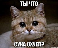 Ты что сука охуел?