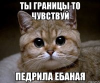 Ты границы то чувствуй Педрила ебаная