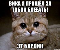 Вика я пришёл за тобой Блееать! Эт барсик