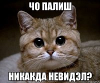 чо палиш никакда невидэл?