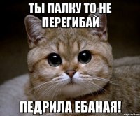 ты палку то не перегибай педрила ебаная!