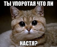 Ты упоротая что ли Настя?