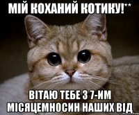 МІЙ КОХАНИЙ КОТИКУ!** ВІТАЮ ТЕБЕ З 7-ИМ МІСЯЦЕМНОСИН НАШИХ ВІД