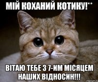 МІЙ КОХАНИЙ КОТИКУ!** ВІТАЮ ТЕБЕ З 7-ИМ МІСЯЦЕМ НАШИХ ВІДНОСИН!!!