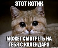 Этот котик может смотреть на тебя с календаря