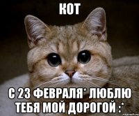 кот с 23 февраля* люблю тебя мой дорогой :*