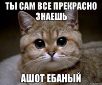 Ты сам все прекрасно знаешь Ашот ебаный