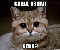 Саша, узнал Себя?