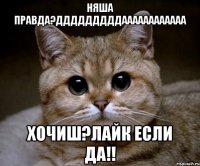 НЯША правда?дддддддддаааааааааааа хочиш?лайк если да!!