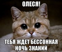 олеся! тебя ждет бессонная ночь знаний