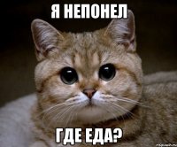 Я непонел Где еда?