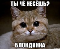 ты чё несёшь? блондинка