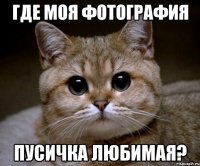 Где моя фотография Пусичка любимая?