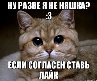 ну разве я не няшка? :3 если согласен ставь лайк