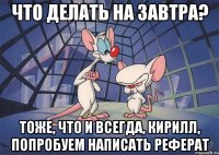 Что делать на завтра? Тоже, что и всегда, Кирилл, попробуем написать реферат