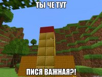 Ты че тут Пися важная?!