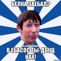 Белка заебал? В Ебасос ты-дыщ нах!