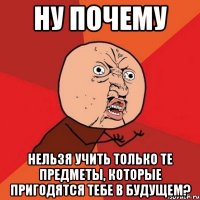 НУ ПОЧЕМУ НЕЛЬЗЯ УЧИТЬ ТОЛЬКО ТЕ ПРЕДМЕТЫ, КОТОРЫЕ ПРИГОДЯТСЯ ТЕБЕ В БУДУЩЕМ?