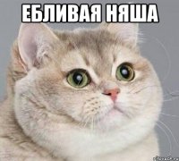 ебливая няша 