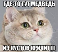 Где-то тут медведь из кустов кричит)))