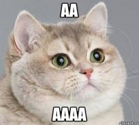 аа аааа
