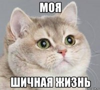 моя шичная жизнь