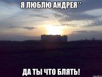 я люблю Андрея** Да ты что блять!