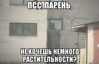 псс, парень, не хочешь немного растительности?