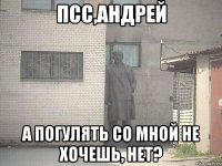 Псс,Андрей а погулять со мной не хочешь, нет?