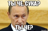 Ты че, сука? ты че?